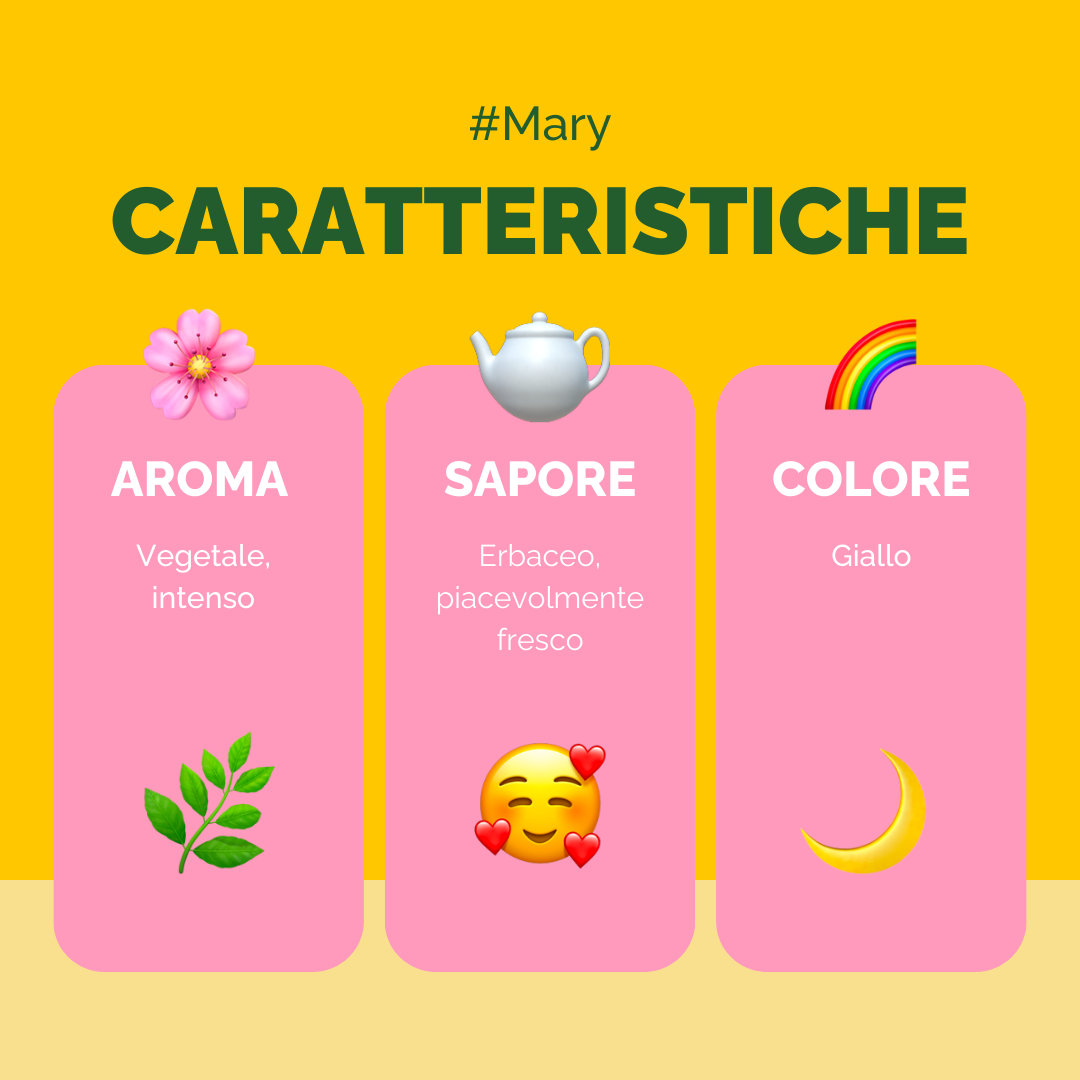 Mary Pouch
